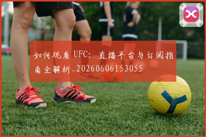 如何观看 UFC：直播平台与订阅指南全解析_20260606153055